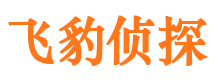 来安市侦探调查公司